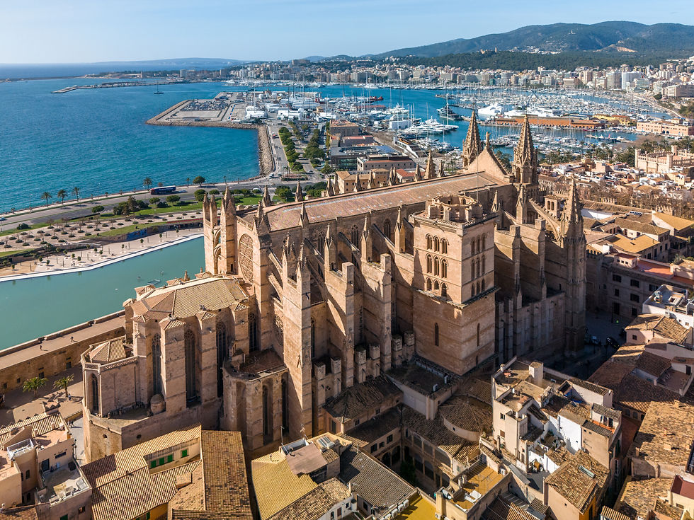 aerial-view-cathedral-de-mallorca-cityscape.jpg