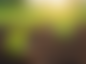 Sustainable Farming Solutions for Modern Agriculture: Embracing Eco-Friendly Farming Practices