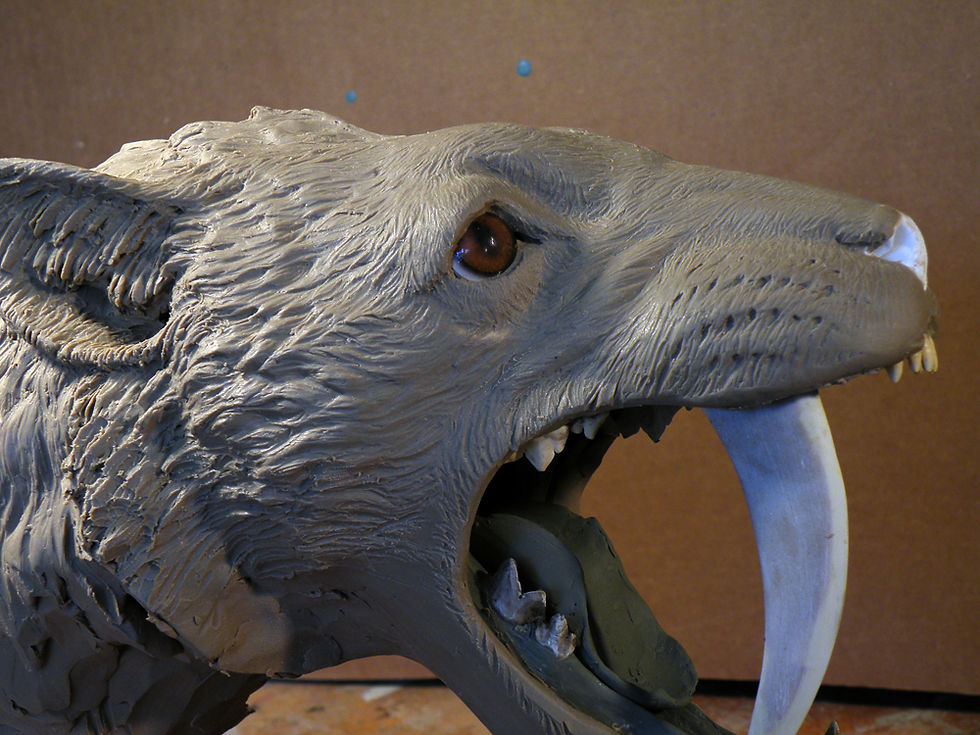 Mammals