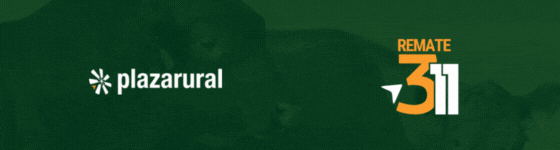 GIF NUM O Y V 1 - 560x150 (1).gif