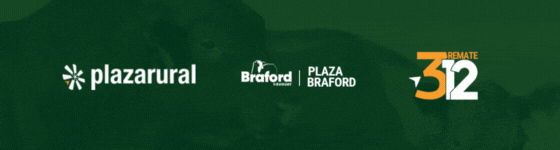 GIF NUM O Y V 1 - 560x150.gif