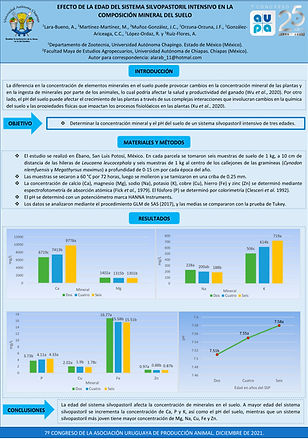 Lara-Bueno, Martínez-Martínez-1.jpg