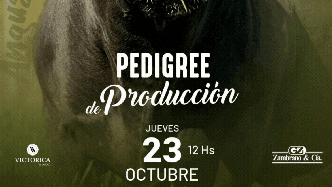 Remates Ganaderos (2).gif