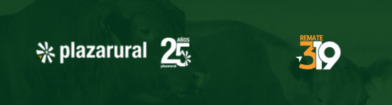 GIF NUM O Y V 1 - 560x150.gif