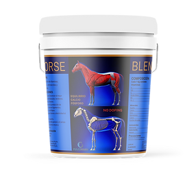 Horse Blend.png