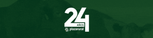 GIF NUM O Y V 2 - 500x125.gif