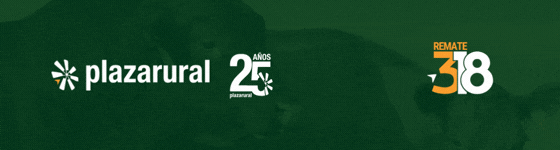 GIF NUM O Y V 1 - 560x150.gif