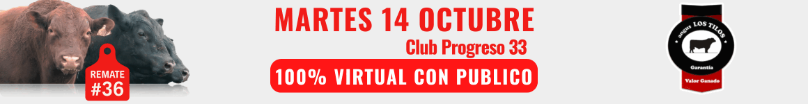 angus LOS TILOS 1160x150.gif