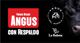 280x150-Angus-con-Respaldo.gif