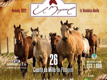 Zambrano vende este jueves la genética de El Mayoral