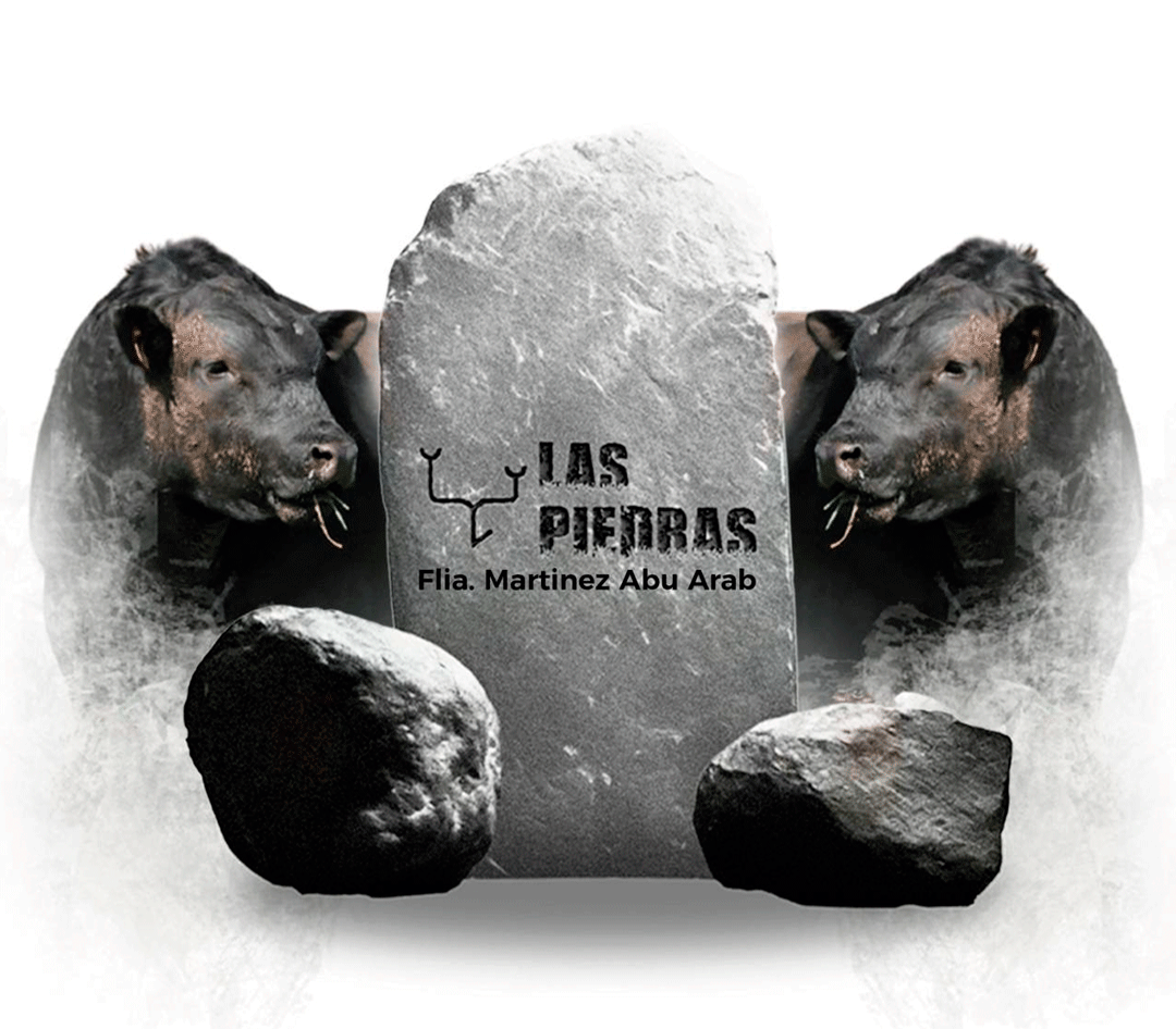 Gif-Las-Piedras.gif