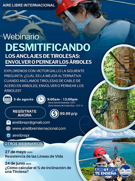 Flyer webinario envolver o pernear.jpg