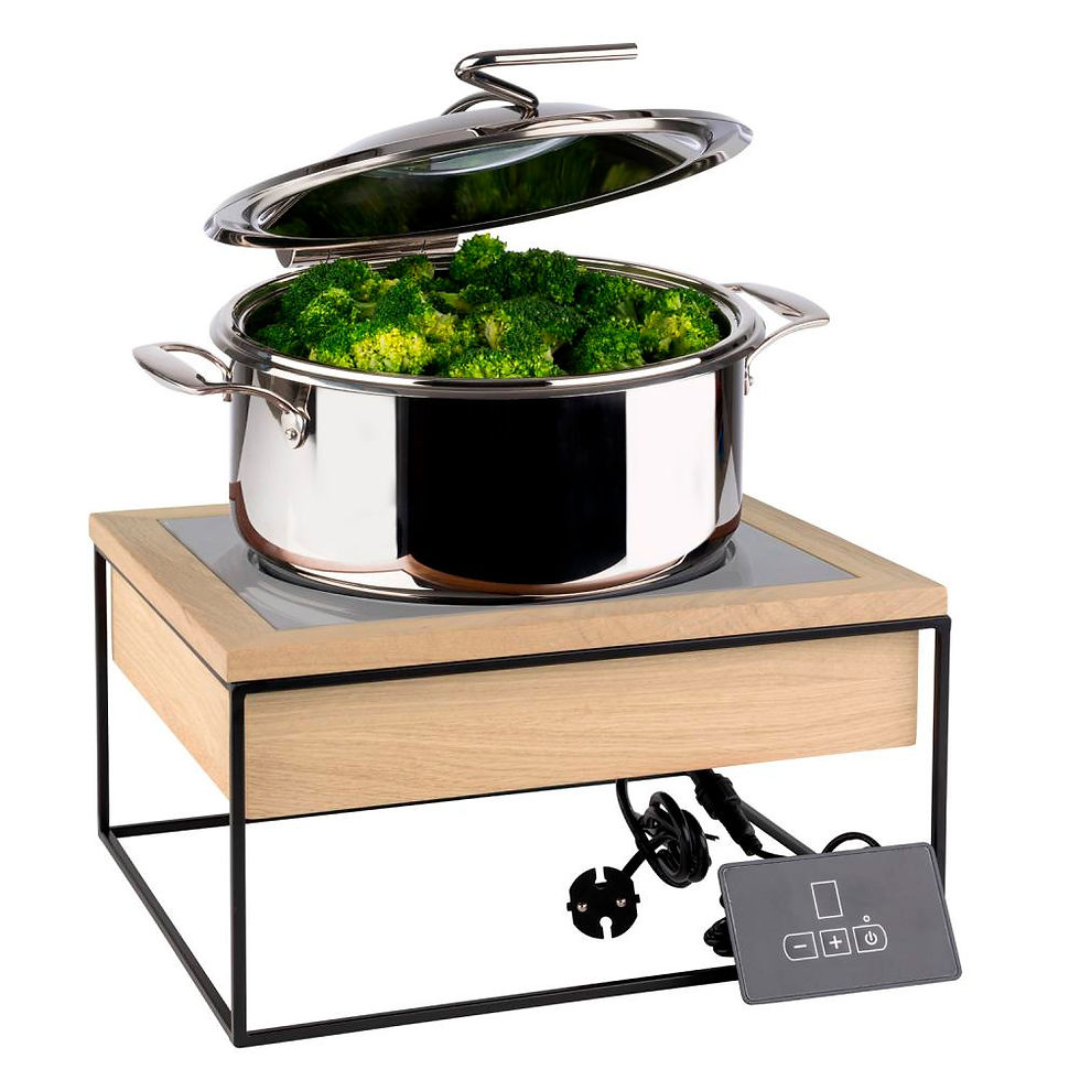 Miniatura: Estación de Inducción Profesional + Chafing Dish Set Completo