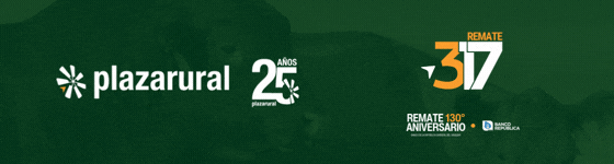 GIF NUM O Y V 1 - 560x150.gif