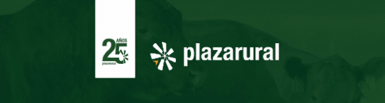 GIF NUM O Y V 1 - 560x150.gif