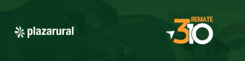 GIF NUM O Y V 2 - 500x125.gif