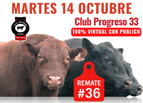 angus LOS TILOS 36R 208x150.gif