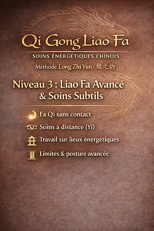 QI Gong Liao Fa