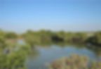 'North Qatar/Purple Island/North Cities/Al Zubarrah Fort