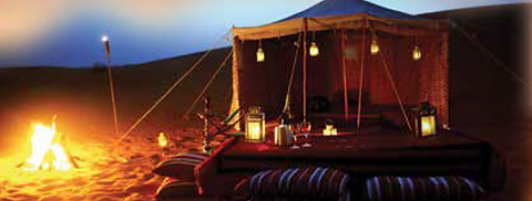 Full Day desert safari