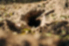 ABOUT US-HEADER .jpg