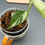 Thumbnail: Monstera Albo (64)