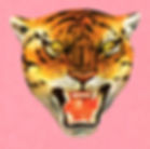 Tiger-465311602_3236x3204.jpeg