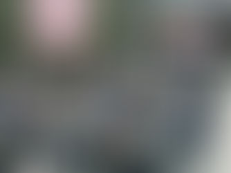 Auckland Regional Hui 2025 – A Milestone Moment for Predator Free Tāmaki Makaurau