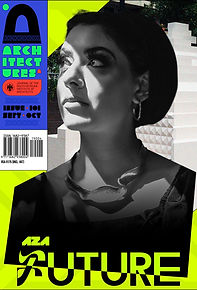 Architecture SA Issue.jpg