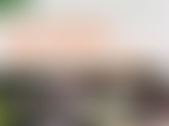 春のせたがやクリーンウォーク!中高生ボランティア募集【3/27(金)】