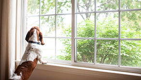 Is It Time To Move on to a New Home?