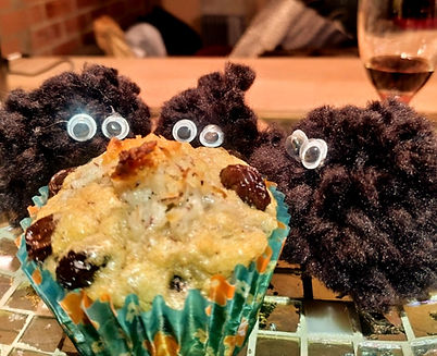 suculento_todos me miran_edited.jpg