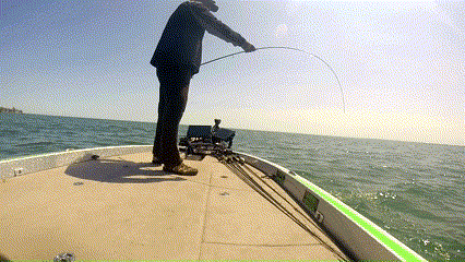 Smallmouth Fishing Guide Lake St. Clair Livescope Jigging 2023 Spring