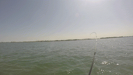 Lake St. Clair Smallmouth Tube Jigging Weed Bed Structures