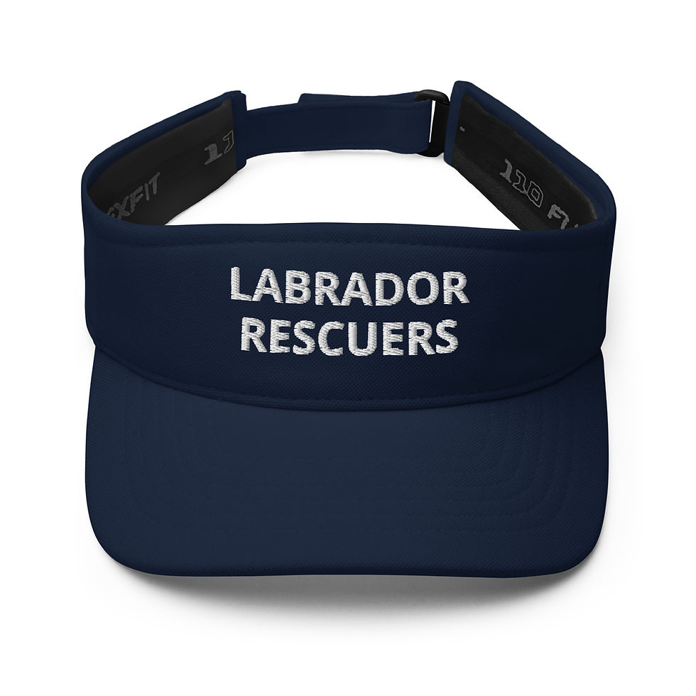 Thumbnail: Labrador Rescuers Visor