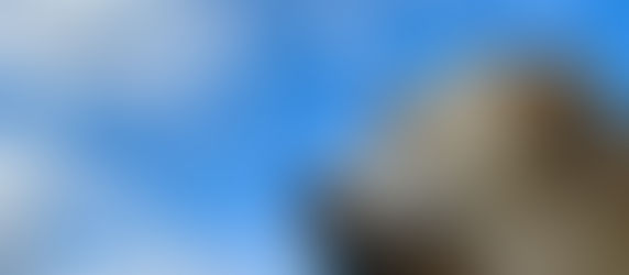 We Will Miss You Toby & Tucker