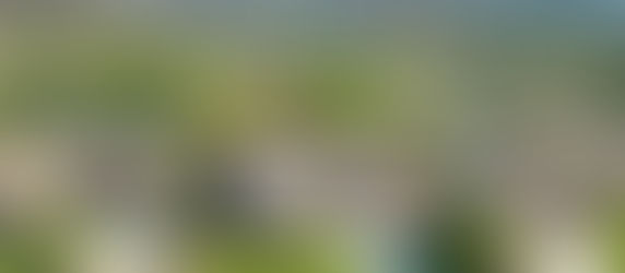 Gorgeous Ryland Home for Sale | 3BR/2BA W/Optional Bedroom | 2,455 SF | Ramona