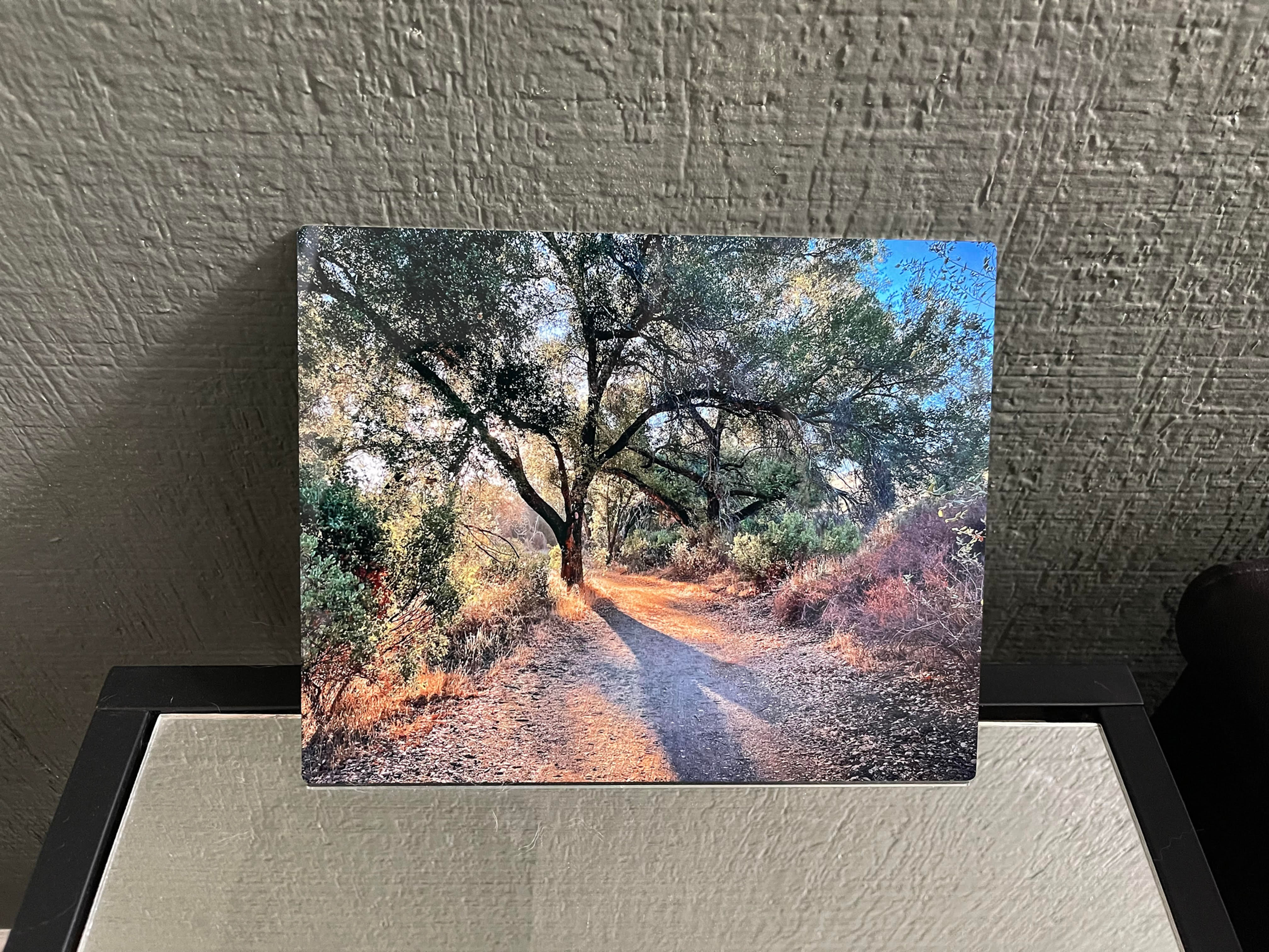 Sunrise at Shady Oaks | Metal Print 8x10