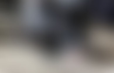 More Dog Boarding, Drop In Service & Dog Walking FUN 🤩 🐶🎉❤️