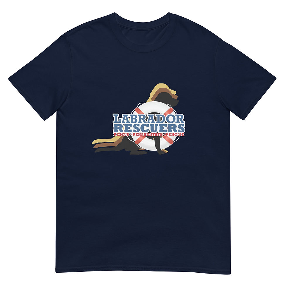 Thumbnail: Unisex Softstyle T-Shirt - Large LR Logo on front