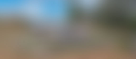 JUST LISTED | Harbison Canyon Home & Rare Commercial Residential Campo Property