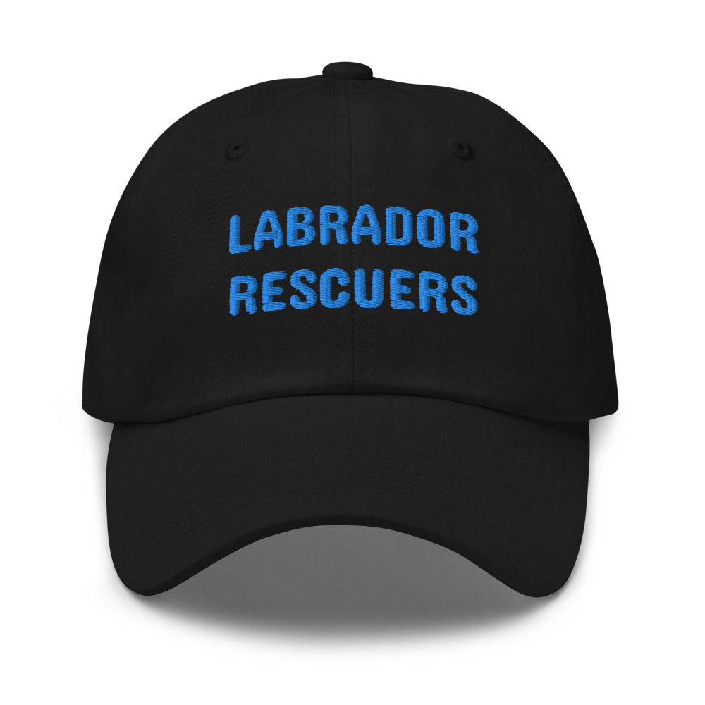 Labrador Rescuers embroidered baseball hat