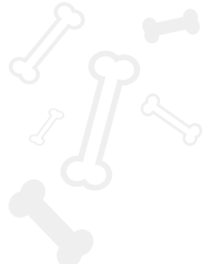 cartoonbones1.png