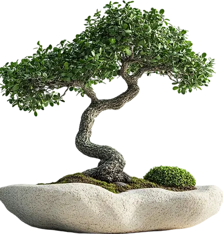 Trimming overgrown trees in Fayetteville AR