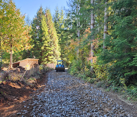 Finished landscape after clearing