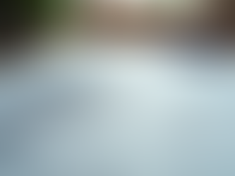 Your Guide to Custom House Blueprints Online