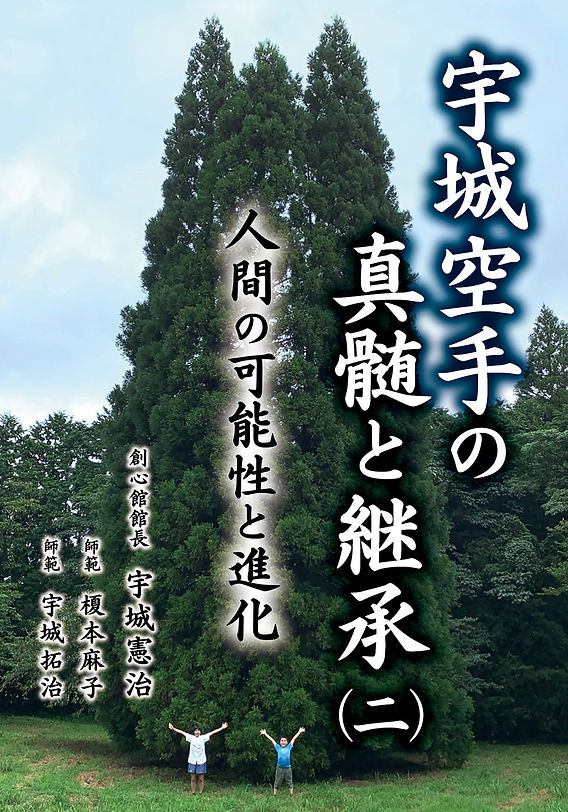 宇城空手 第2巻 武術の絶対条件 その2 Amazon.co.jp: DVD宇城憲治『宇城空手第2巻/武術の絶対条件その2