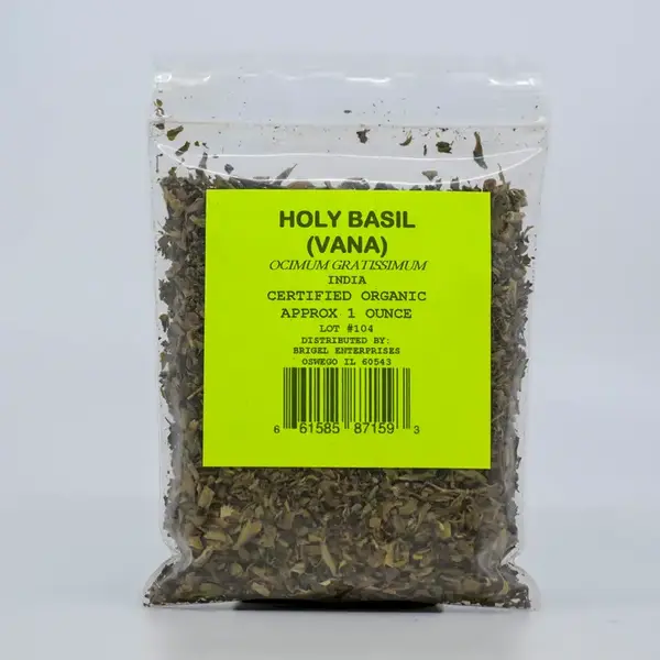 Holy Basil (Tulsi)