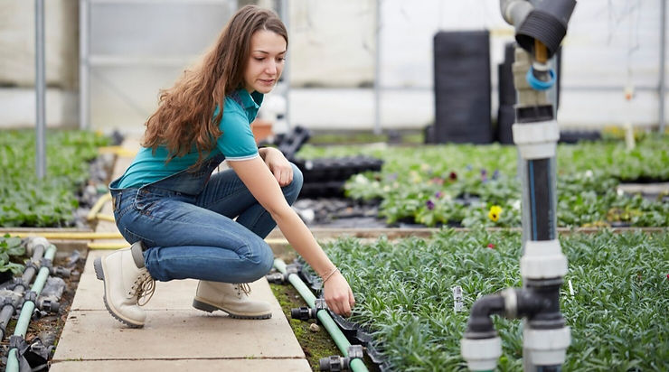 Woman checking garden irrigation system