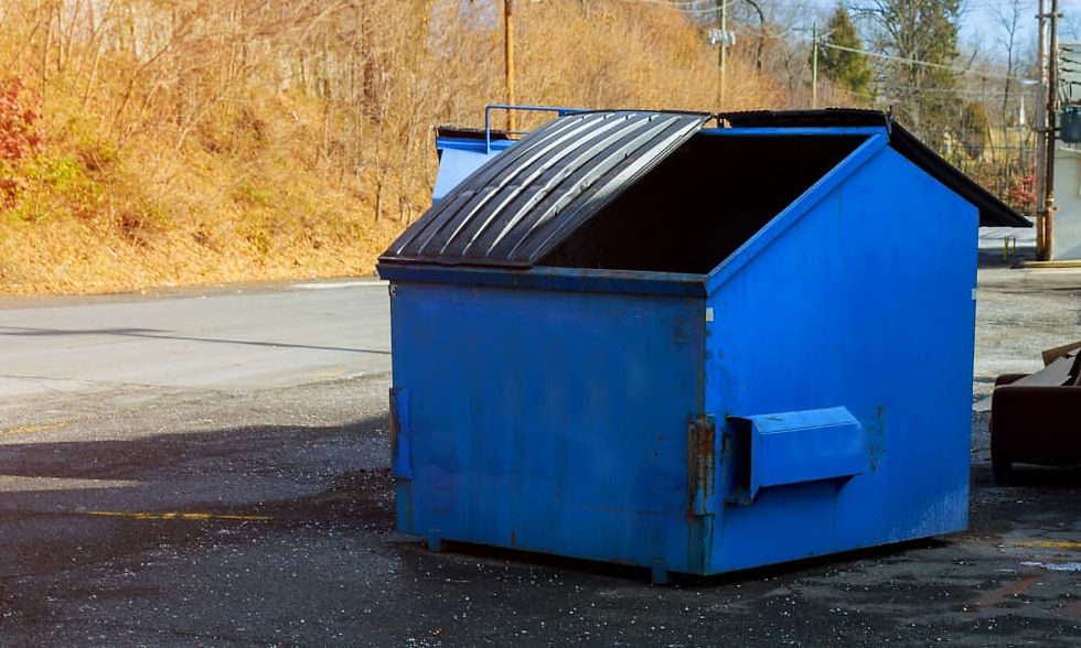 Dumpster Rental placed on the street